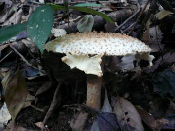 p1080216