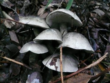 p1080229